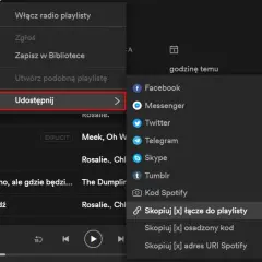Jak zrobić prywatną playlistę na Spotify i cieszyć się muzyką w ukryciu